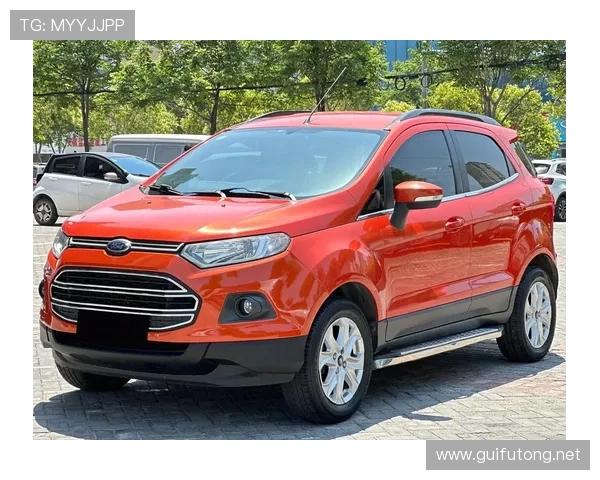 2013款福特翼博1.0T成本调查